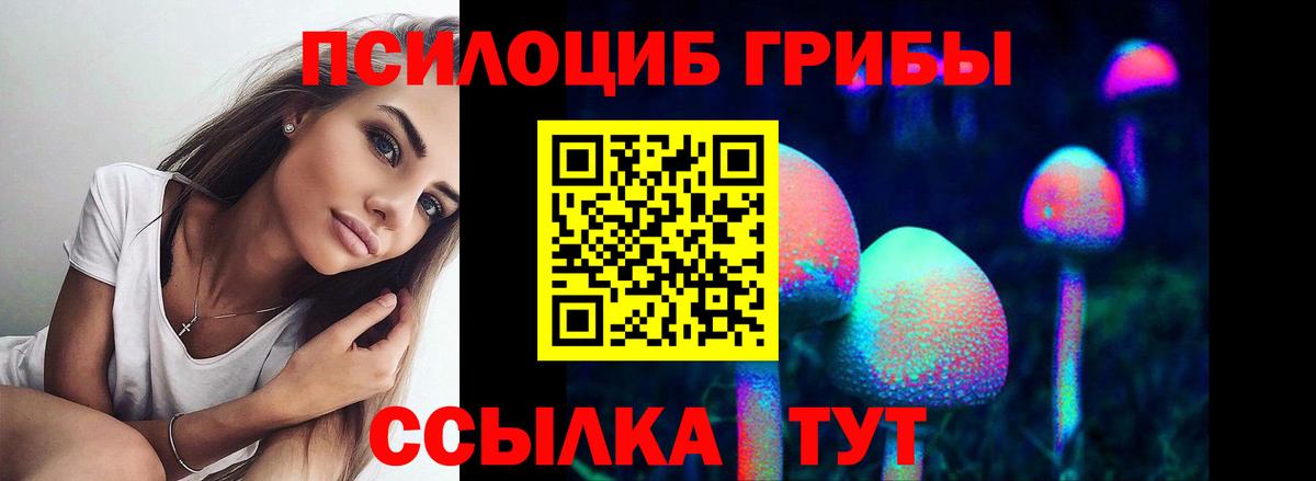 Галлюциногенные грибы Psilocybine cubensis Черняховск